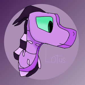 Lotus the Springwing1.png