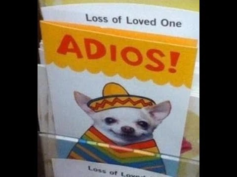 File:Adios!.jpg