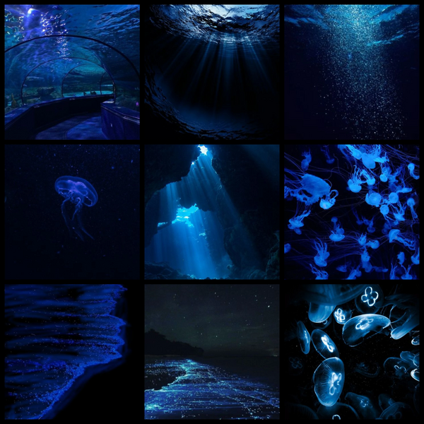 File:88518632 IW3fjKKzVWq4AW2.jpg