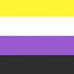 Enby flag for Zombietoon's bg.jpg