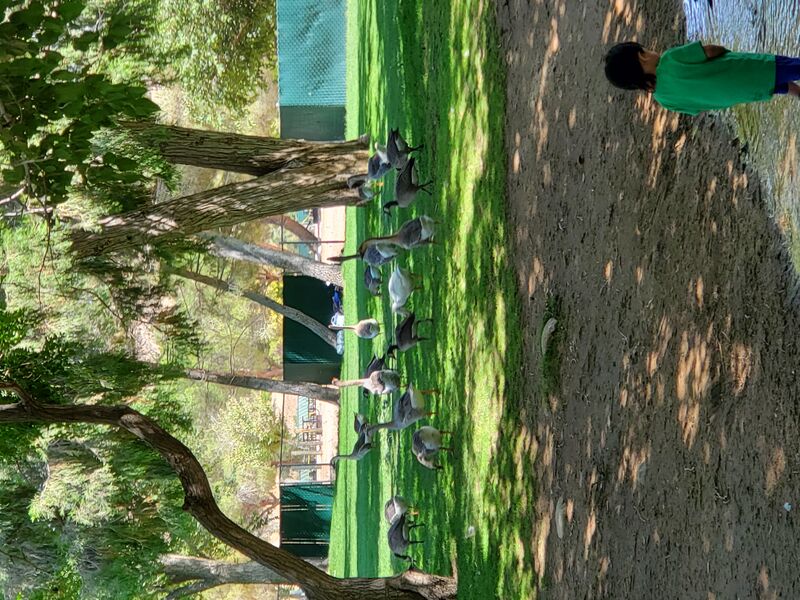 File:20200803 105026.jpg