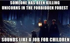 Forbidden forest meme.jpeg