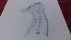 IMG 20190113 153657.jpg