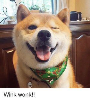 Wink-wonk-27729019.png