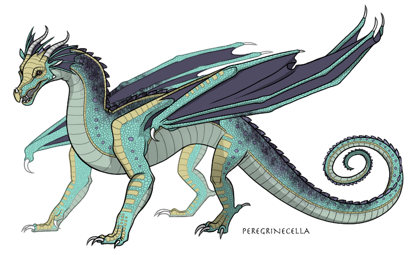 File:Rainwing base.png