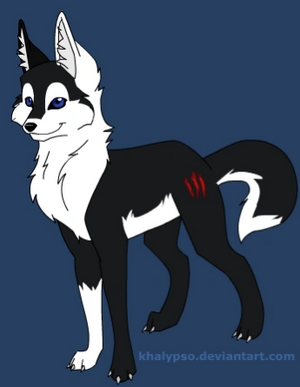 Wolf OC - Edited.png