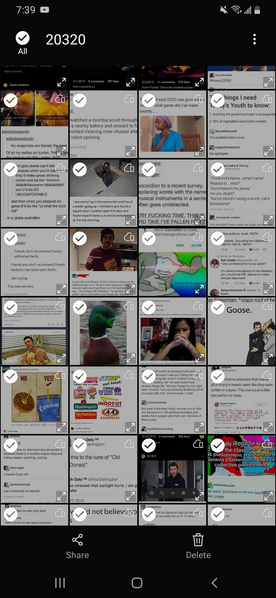 File:Screenshot 20200414-193952 Gallery (1).jpg