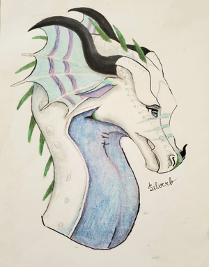 Auricula by Silverb.jpg