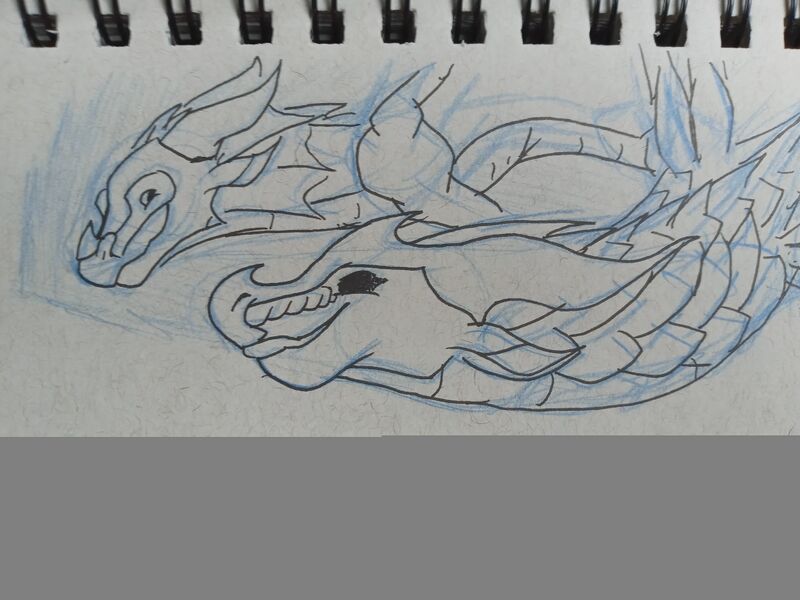 File:20200703 181449.jpg