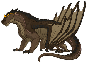 Anhinga fan ref Lucky.png