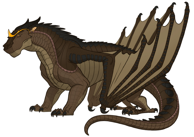 File:Anhinga fan ref Lucky.png