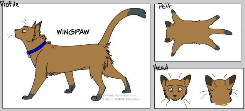 File:Wingpaw (Fandom).png