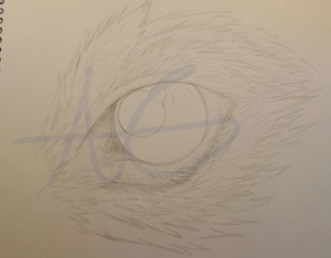 Wolf Eye WIP-AG.png