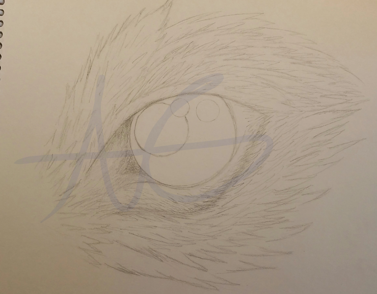 File:Wolf Eye WIP-AG.png
