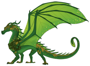 Росянка референс.png