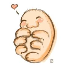 File:AnotherCuteTardigrade.jpeg