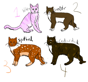 Adopts 1.png