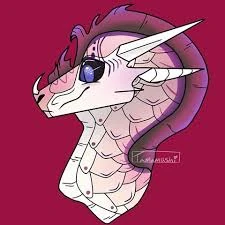 File:Dawn's pfp.jpeg