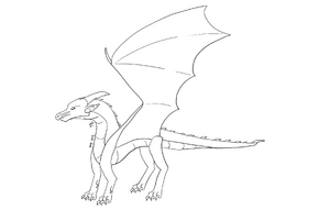 Average galea base transparent.jpg