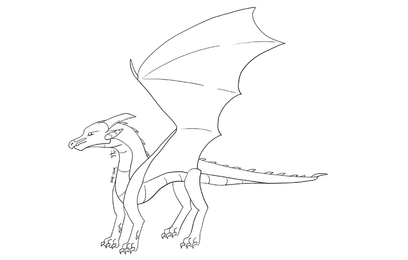 File:Average galea base transparent.jpg