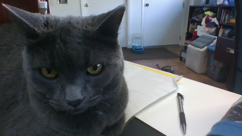 File:IMG 20201021 090323.jpg