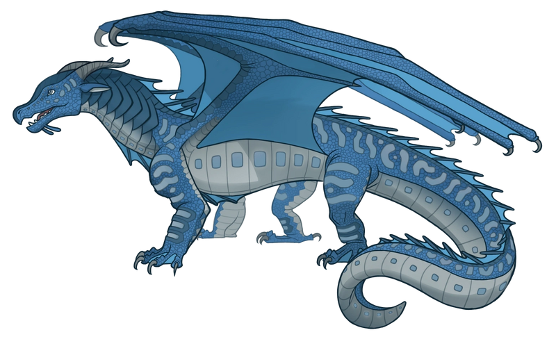 File:Трепанг референс.png