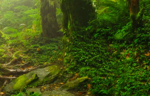 屏幕快照 2020-03-26 下午1.08.32.png