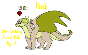 55586362-e78a-46fc-9496-2a318f3cf6c3 (2) (1).png