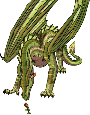 Ива раскраска.png