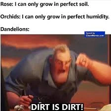 File:Images (3)999.jpg