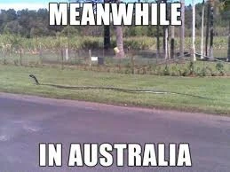 File:Aussie.jpeg