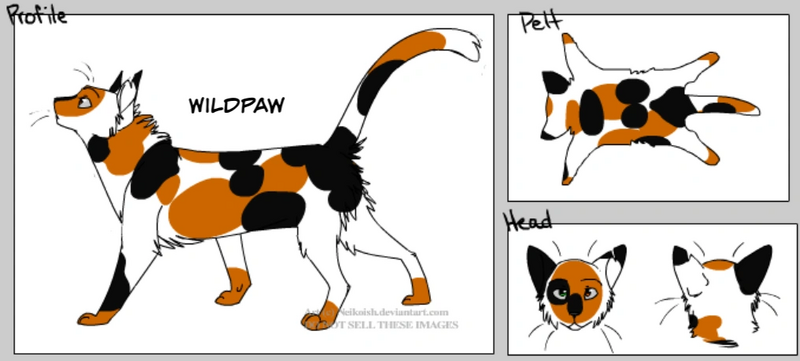 File:Wildpaw 2 (Fandom).png