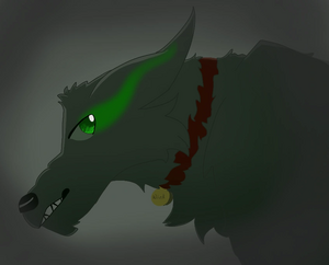 Wink 20191117203845.png