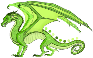 Kiwi the rainwing.png