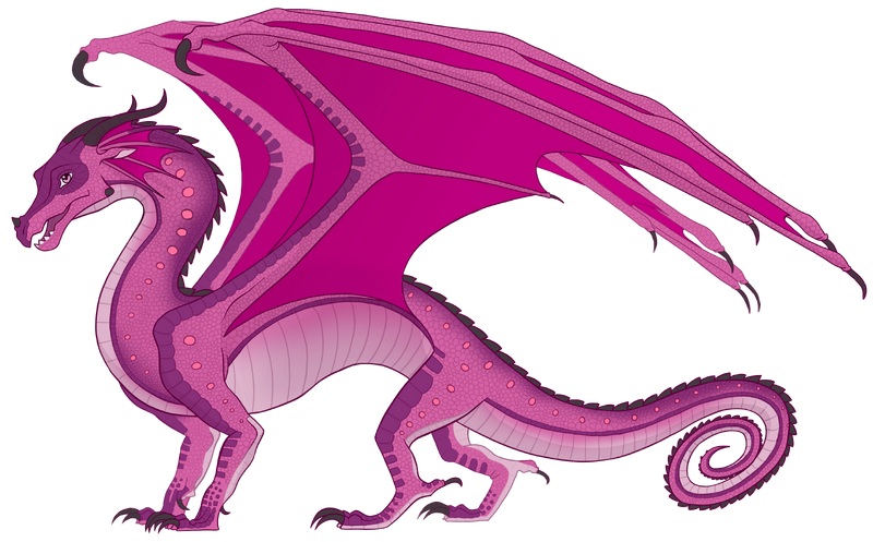 File:Орхидея реф.png