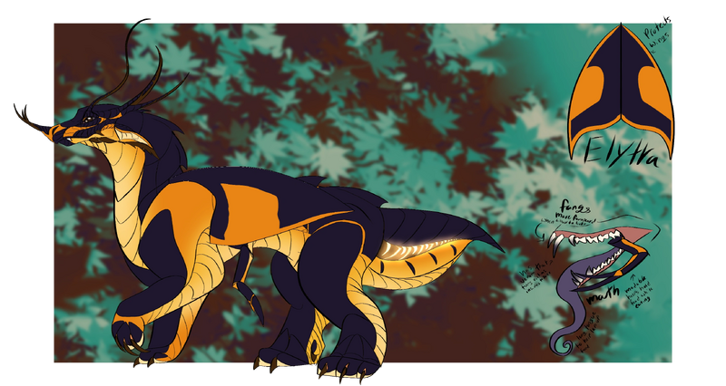 File:Elytra bomba.png