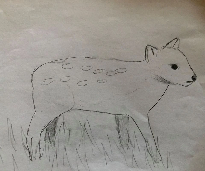 File:A weird deer.jpg