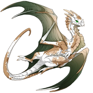 Acacia by cara fr.png