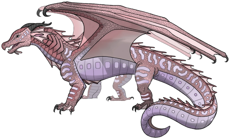 File:Axolotl by SpaceshipEarth.png