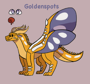 23434060-34Axolotl’sOCGoldenspots59-47FD-8DB1-40973F56AAC3.png