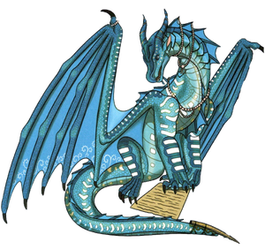 Коралл раскраска.png