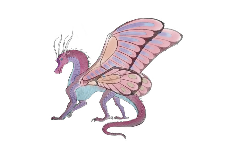 File:Aglais draft.jpg