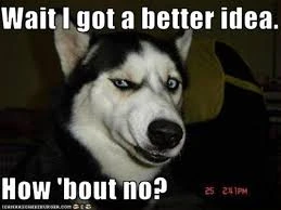 File:How 'bout no1.jpg