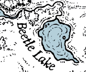 File:Жучиное озеро вблизи.png