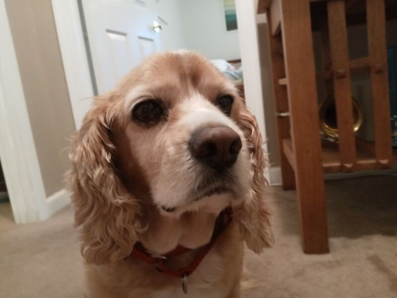 File:20200721 173143.jpg