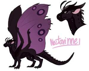 Yami ref nectarinne.png
