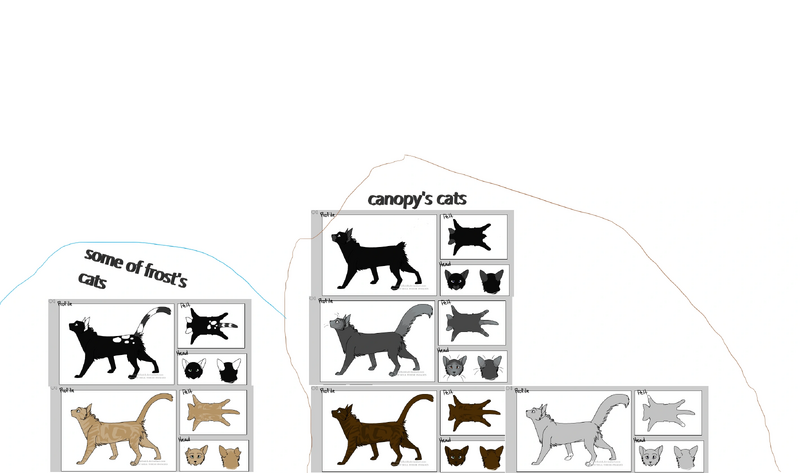 File:Cat's.png