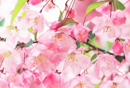 File:屏幕快照 2020-03-27 下午1.38.48.png