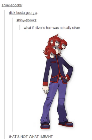 Silver+hair e06de4 4748283.png