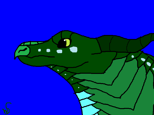 File:Turtle by Windshear1.png